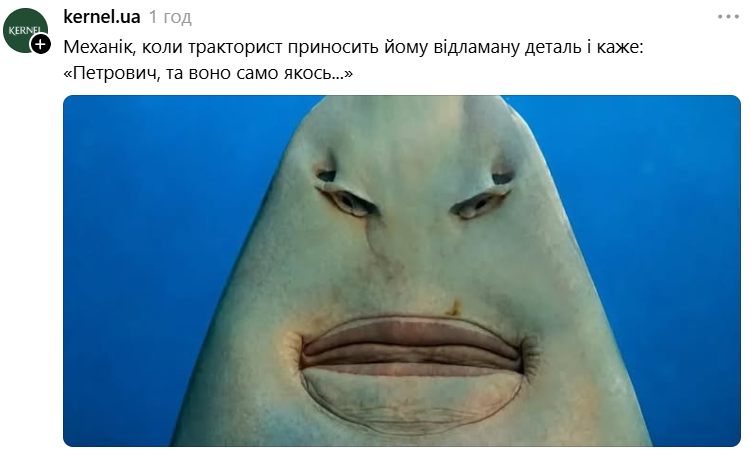 Меми з упоротою акулою, яка стала символом фатальної помилки - фото 893172