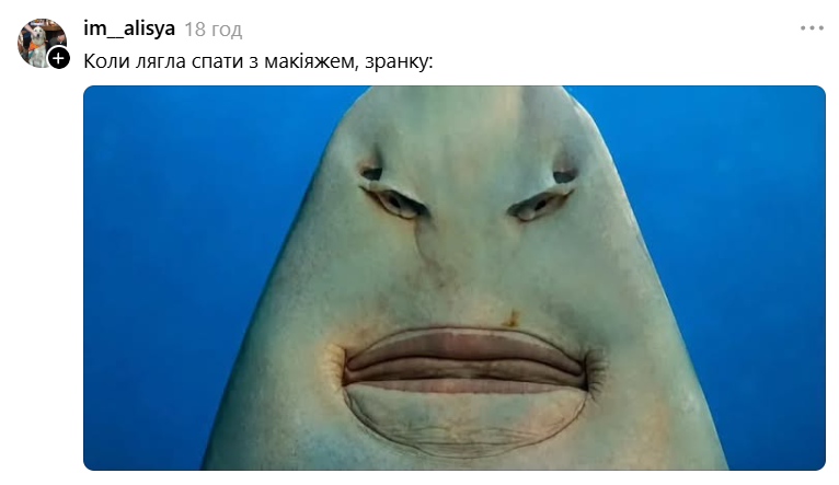 Меми з упоротою акулою, яка стала символом фатальної помилки - фото 893173