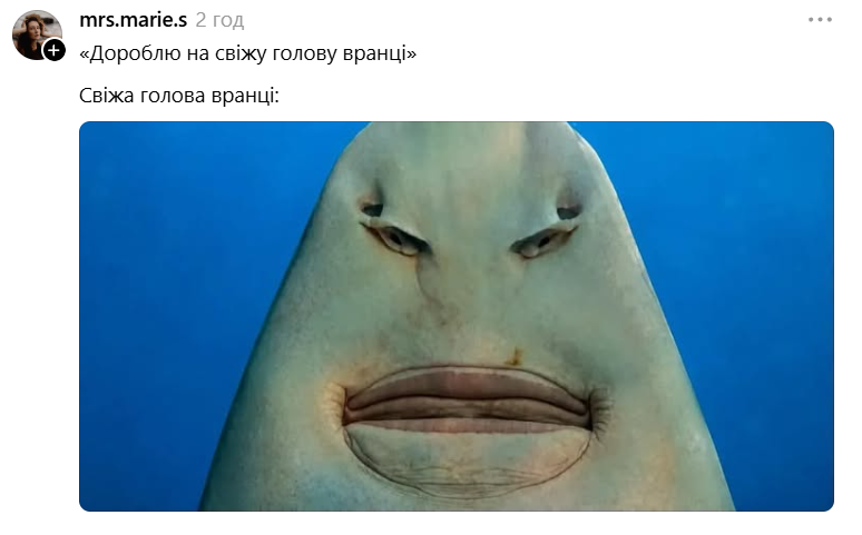 Меми з упоротою акулою, яка стала символом фатальної помилки - фото 893174