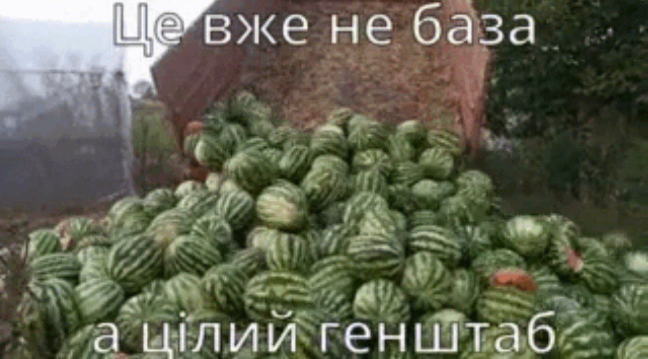 Кавун база мем - 894159 Кавун база мем - фото 894159