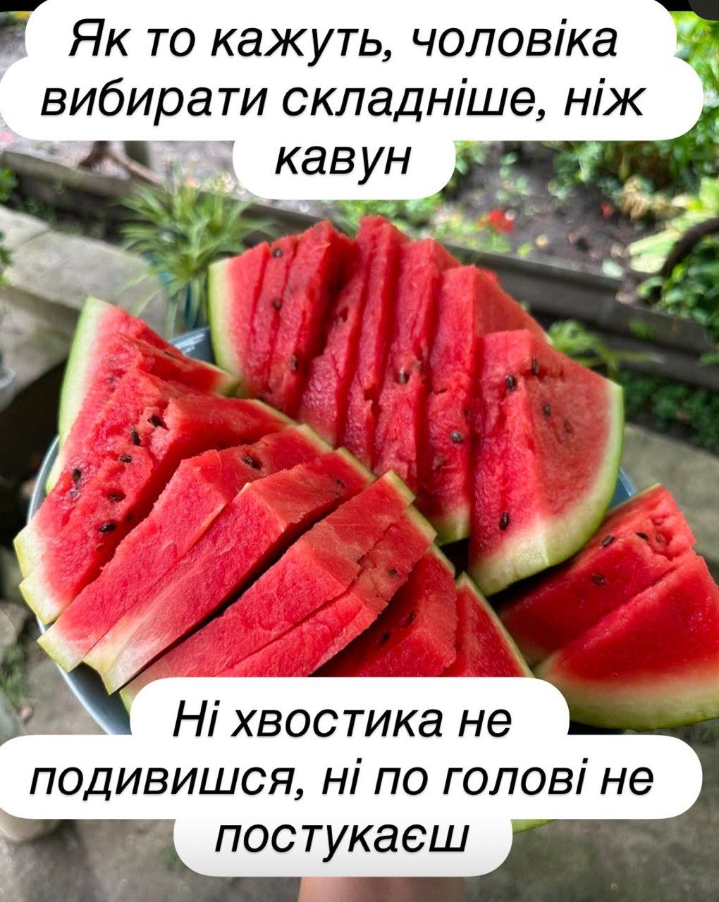 Хочу кавун - тренди мережі - 894163 Хочу кавун - тренди мережі - фото 894163