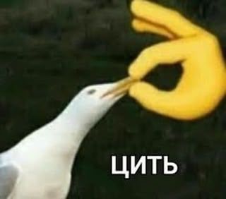 Меми, які врятують тебе в будь-якій ситуації - фото 894299