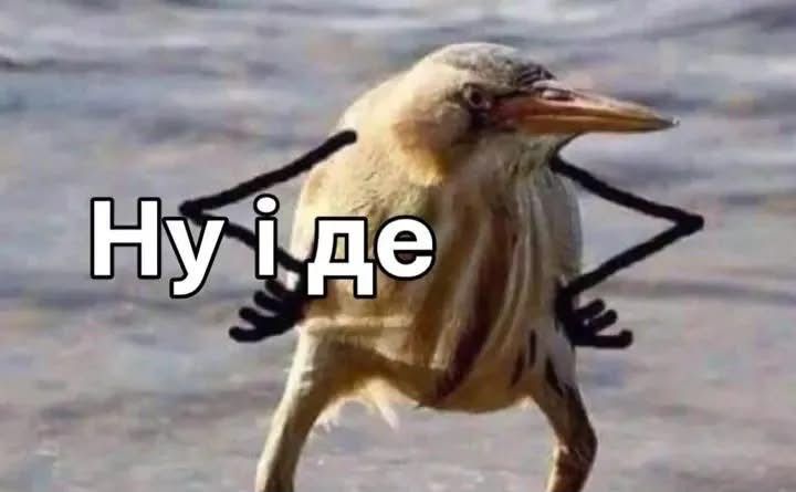 Меми, які врятують тебе в будь-якій ситуації - фото 894300