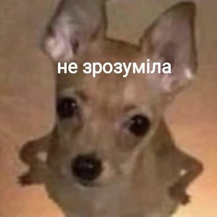 Меми, які врятують тебе в будь-якій ситуації - фото 894301