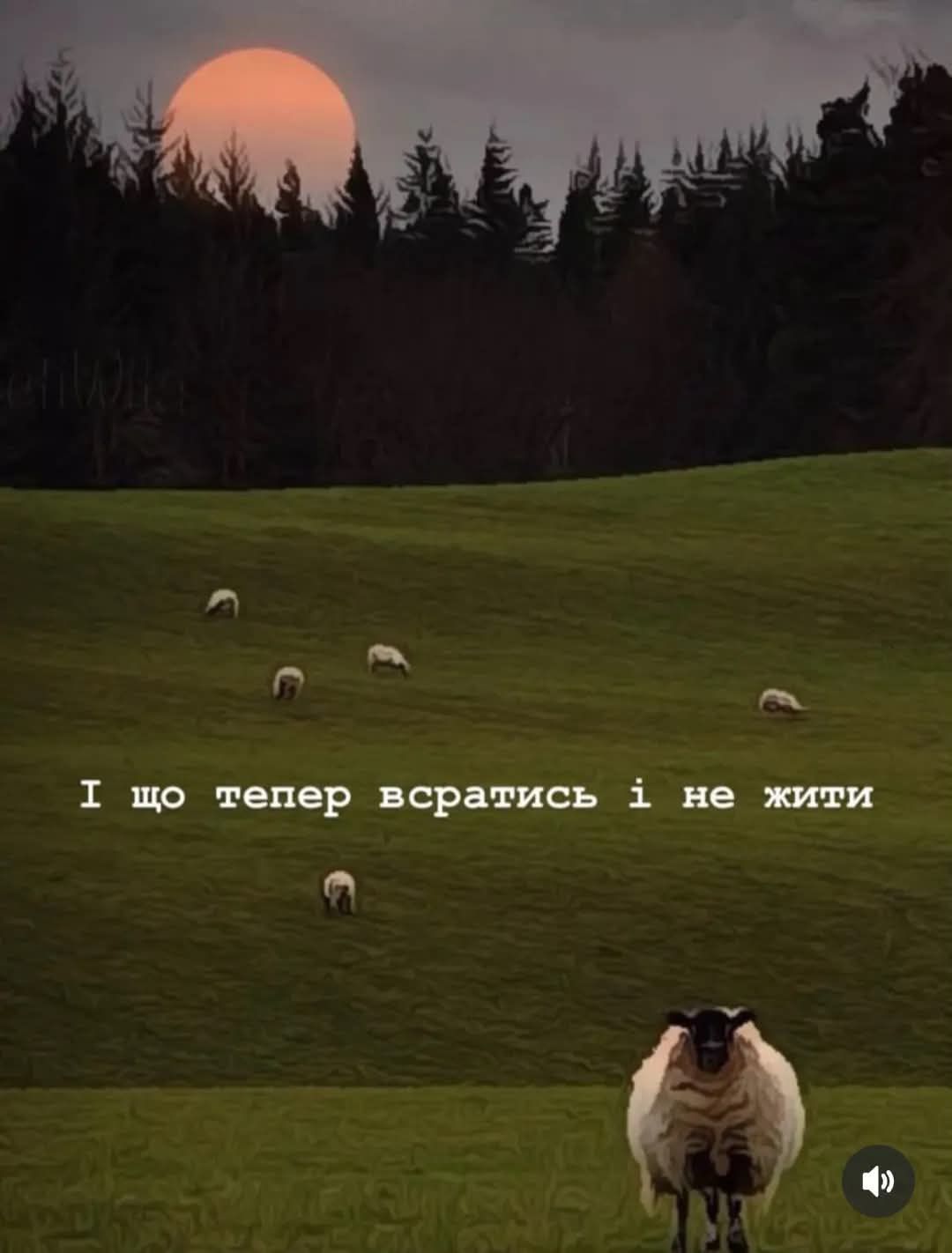 Меми, які врятують тебе в будь-якій ситуації - фото 894302