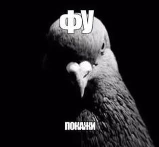 Меми, які врятують тебе в будь-якій ситуації - фото 894304