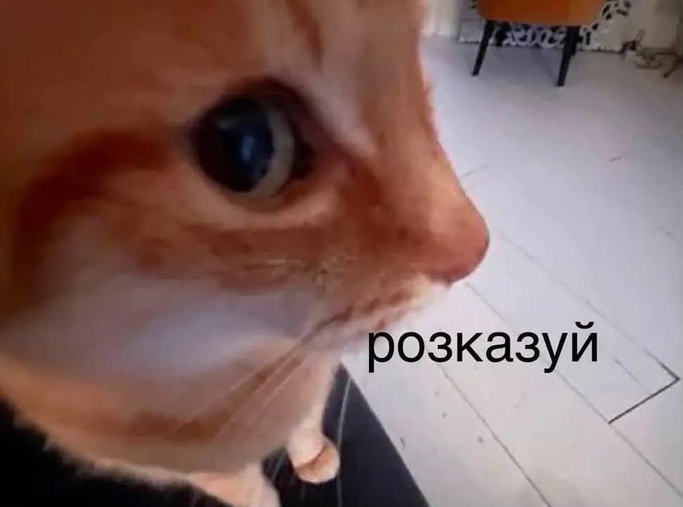 Меми, які врятують тебе в будь-якій ситуації - фото 894305