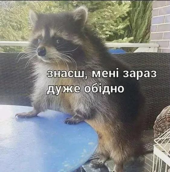 Меми, які врятують тебе в будь-якій ситуації - фото 894306
