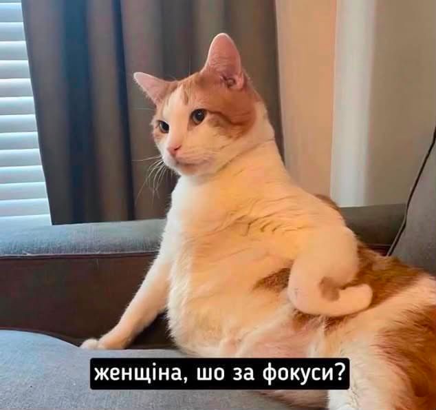 Меми, які врятують тебе в будь-якій ситуації - фото 894309