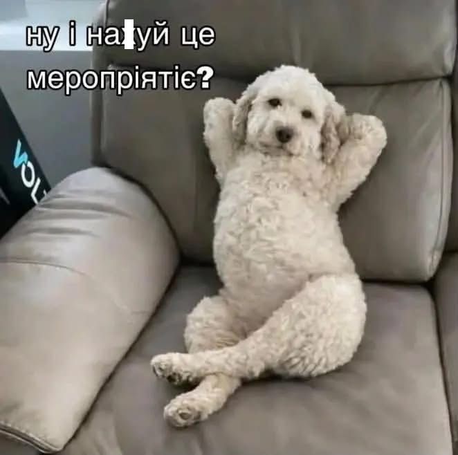 Меми, які врятують тебе в будь-якій ситуації - фото 894311