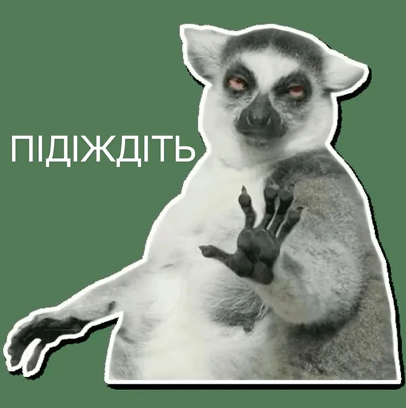 Меми, які врятують тебе в будь-якій ситуації - фото 894316