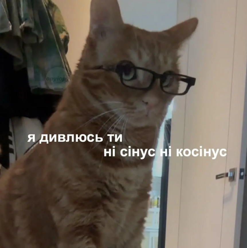 Меми, які врятують тебе в будь-якій ситуації - фото 894320