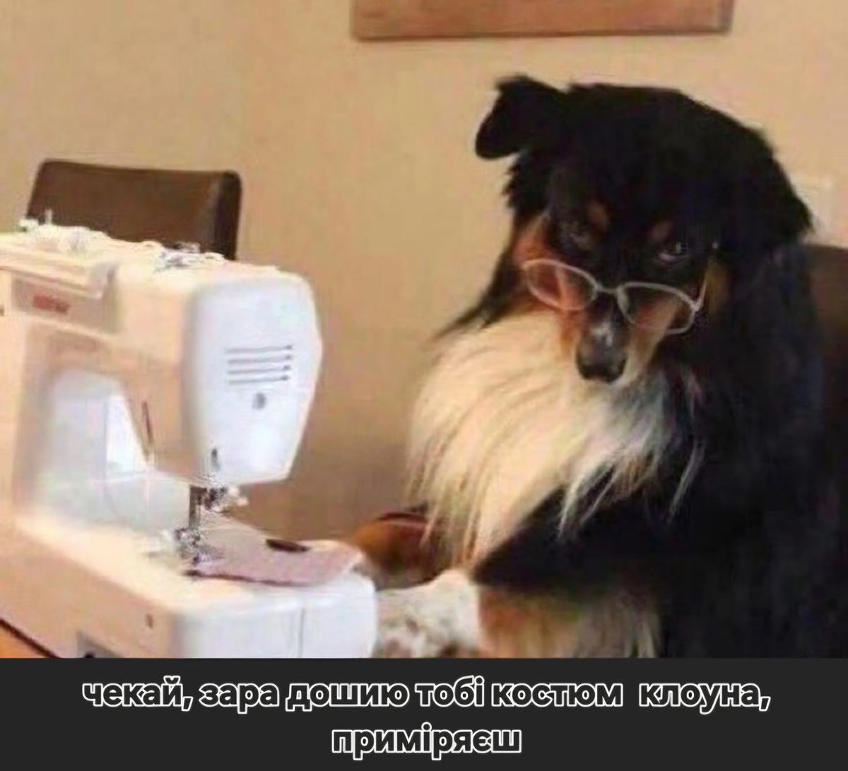 Меми, які врятують тебе в будь-якій ситуації - фото 894323