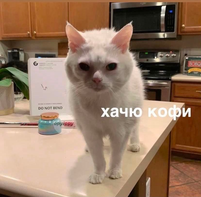Мемы о кофе, без которого в понедельник никак не обойтись - фото 894385