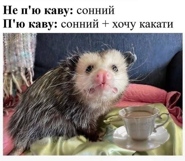 Мемы о кофе, без которого в понедельник никак не обойтись - фото 894386