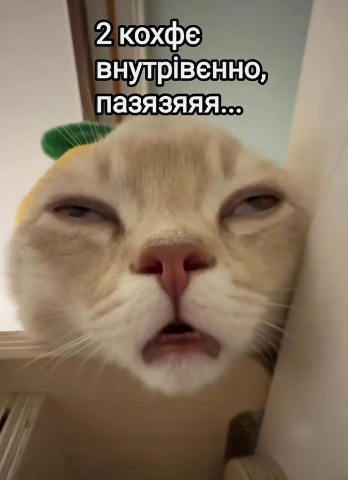 Мемы о кофе, без которого в понедельник никак не обойтись - фото 894394
