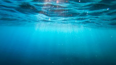 29 хвилин без повітря: світові рекорди затримки дихання під водою, на які здатні люди