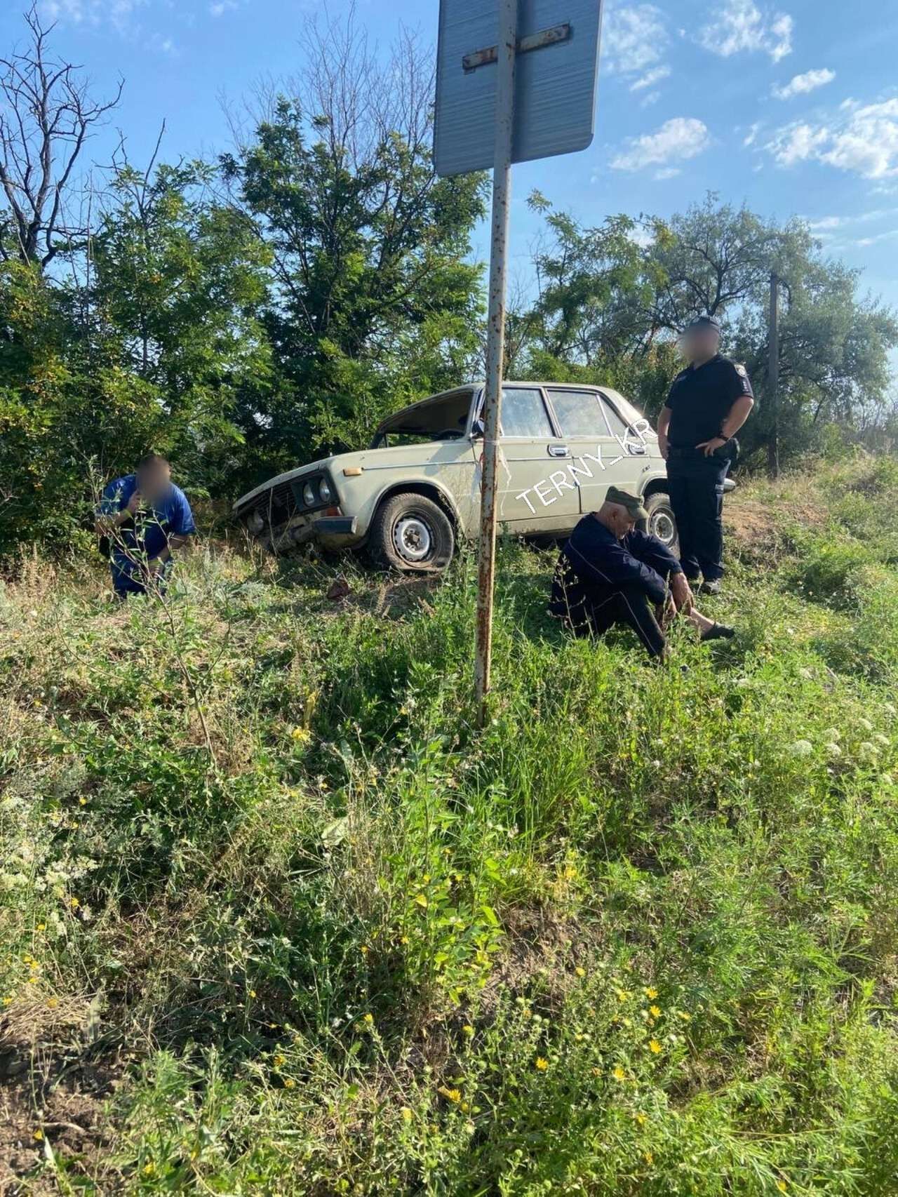 В Кривом Роге водитель попал в ДТП, но решил свалить вину на собаку – посадил ее за руль - 895682 В Кривом Роге водитель попал в ДТП, но решил свалить вину на собаку – посадил ее за руль - фото 895682