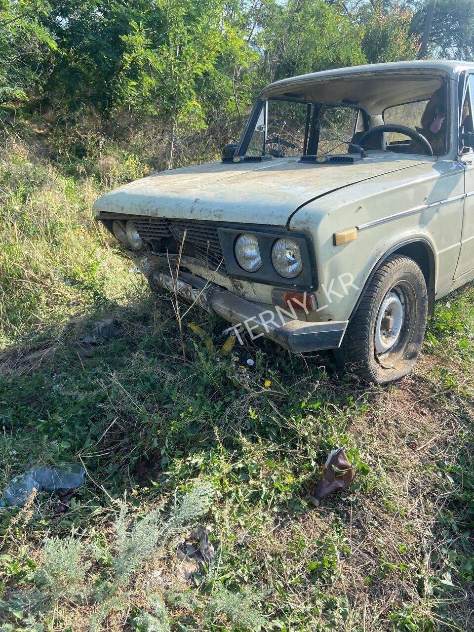 В Кривом Роге водитель попал в ДТП, но решил свалить вину на собаку – посадил ее за руль - 895683 В Кривом Роге водитель попал в ДТП, но решил свалить вину на собаку – посадил ее за руль - фото 895683