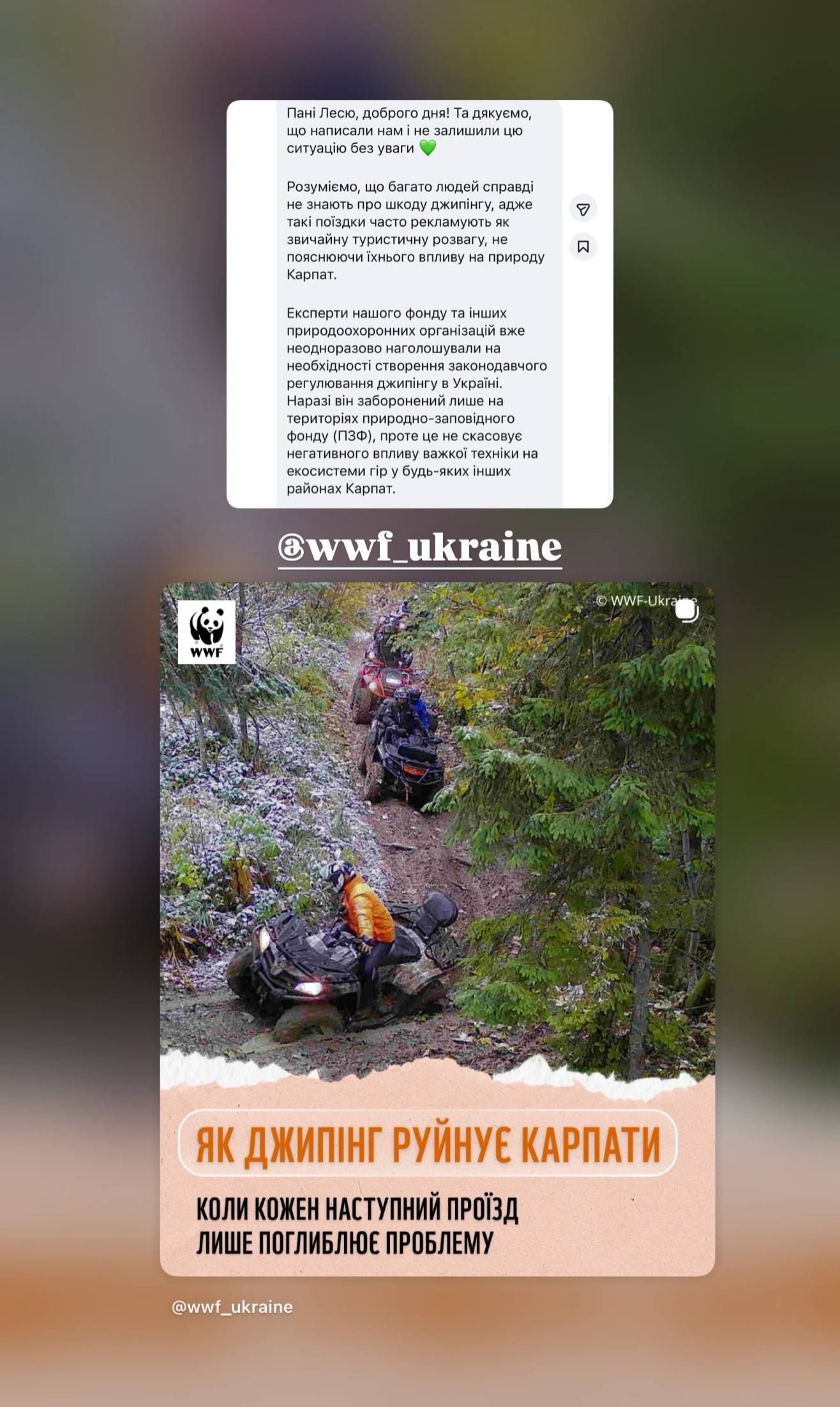 Леся Никитюк оказалась в центре экологического скандала из-за экстремальных развлечений в Карпатах: как отреагировала звезда - 895877 Леся Никитюк оказалась в центре экологического скандала из-за экстремальных развлечений в Карпатах: как отреагировала звезда - фото 895877