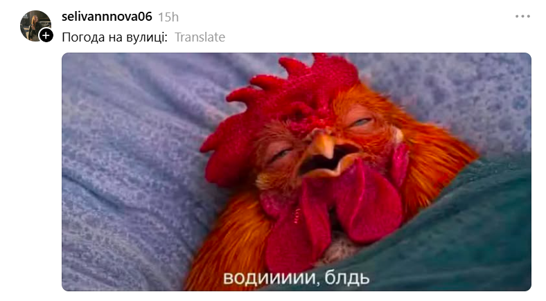 Актуальные мемы для тех, кто уже не выдерживает летнюю жару - 896009 Актуальные мемы для тех, кто уже не выдерживает летнюю жару - фото 896009