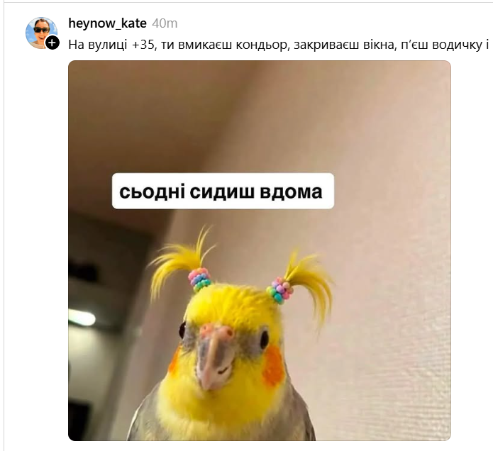 Актуальные мемы для тех, кто уже не выдерживает летнюю жару - 896015 Актуальные мемы для тех, кто уже не выдерживает летнюю жару - фото 896015