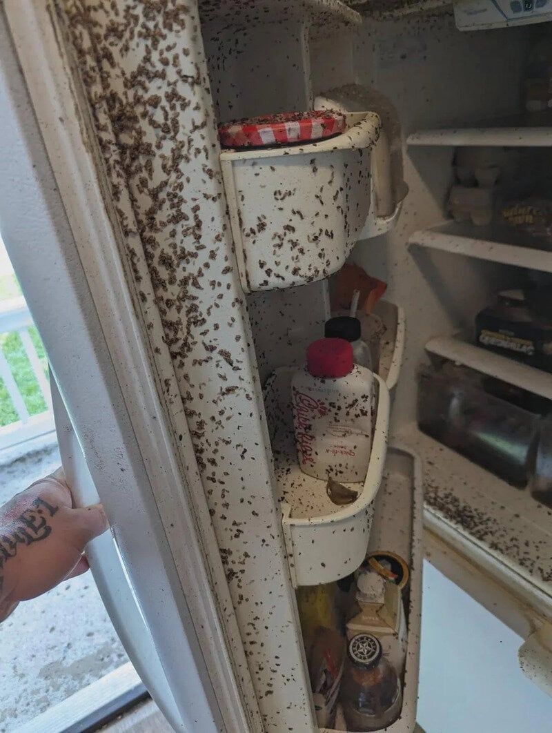 20 жутких фотографий из интернета, на которые лучше не смотреть перед сном - 896205 20 жутких фотографий из интернета, на которые лучше не смотреть перед сном - фото 896205