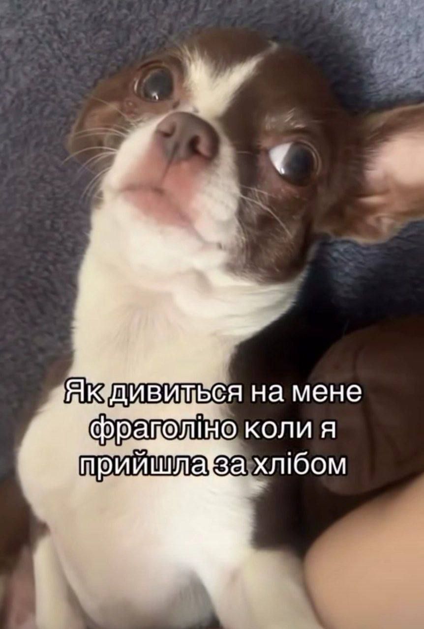 Смотрите забавные мемы об алкоголе ко Дню пива - 896338 Смотрите забавные мемы об алкоголе ко Дню пива - фото 896338