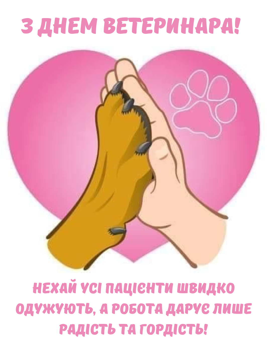 Самые теплые поздравления с Днем ветеринара и красивые открытки для ангелов наших пушистиков - 896362 Самые теплые поздравления с Днем ветеринара и красивые открытки для ангелов наших пушистиков - фото 896362