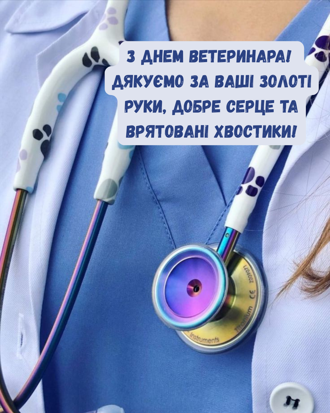Самые теплые поздравления с Днем ветеринара и красивые открытки для ангелов наших пушистиков - 896366 Самые теплые поздравления с Днем ветеринара и красивые открытки для ангелов наших пушистиков - фото 896366