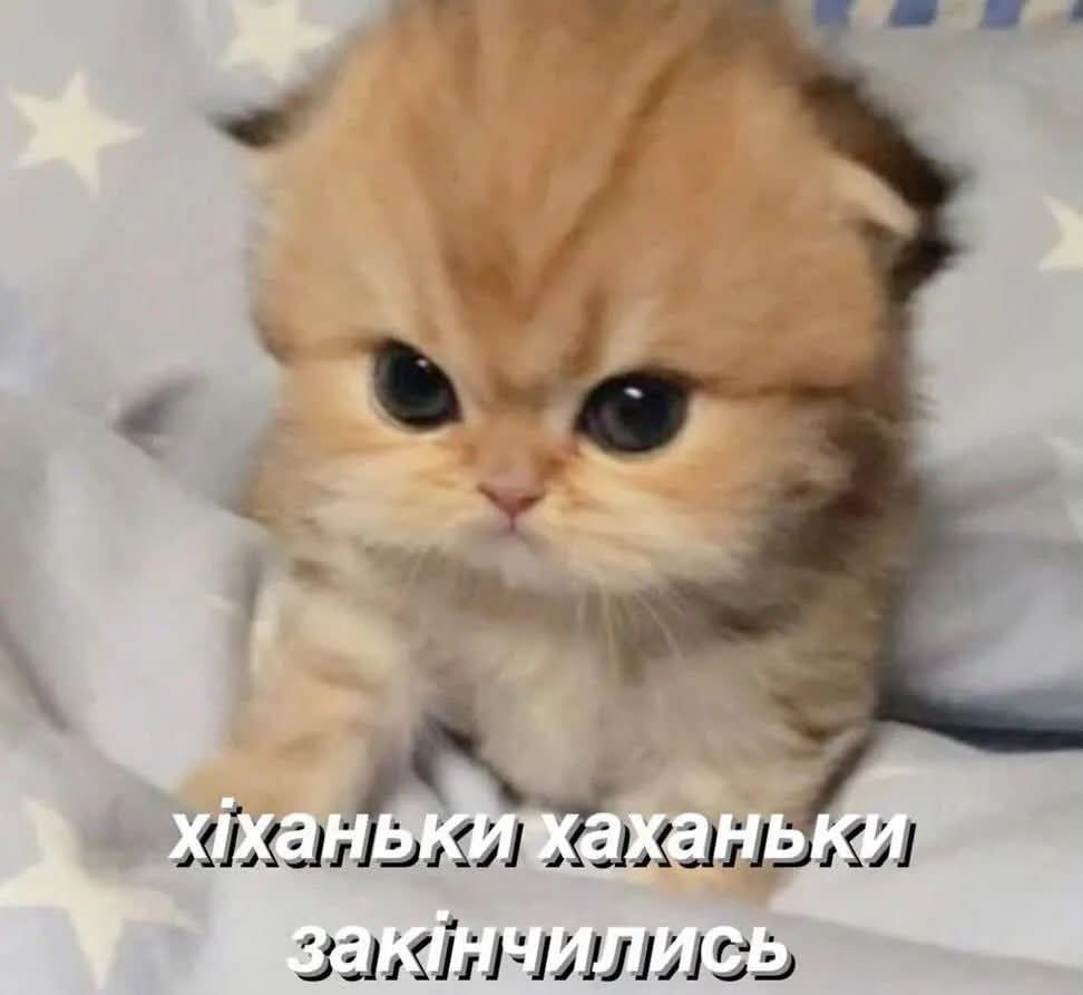 Мемы с котиками, которые смело можно использовать в качестве козырей и аргументов - 896559 Мемы с котиками, которые смело можно использовать в качестве козырей и аргументов - фото 896559