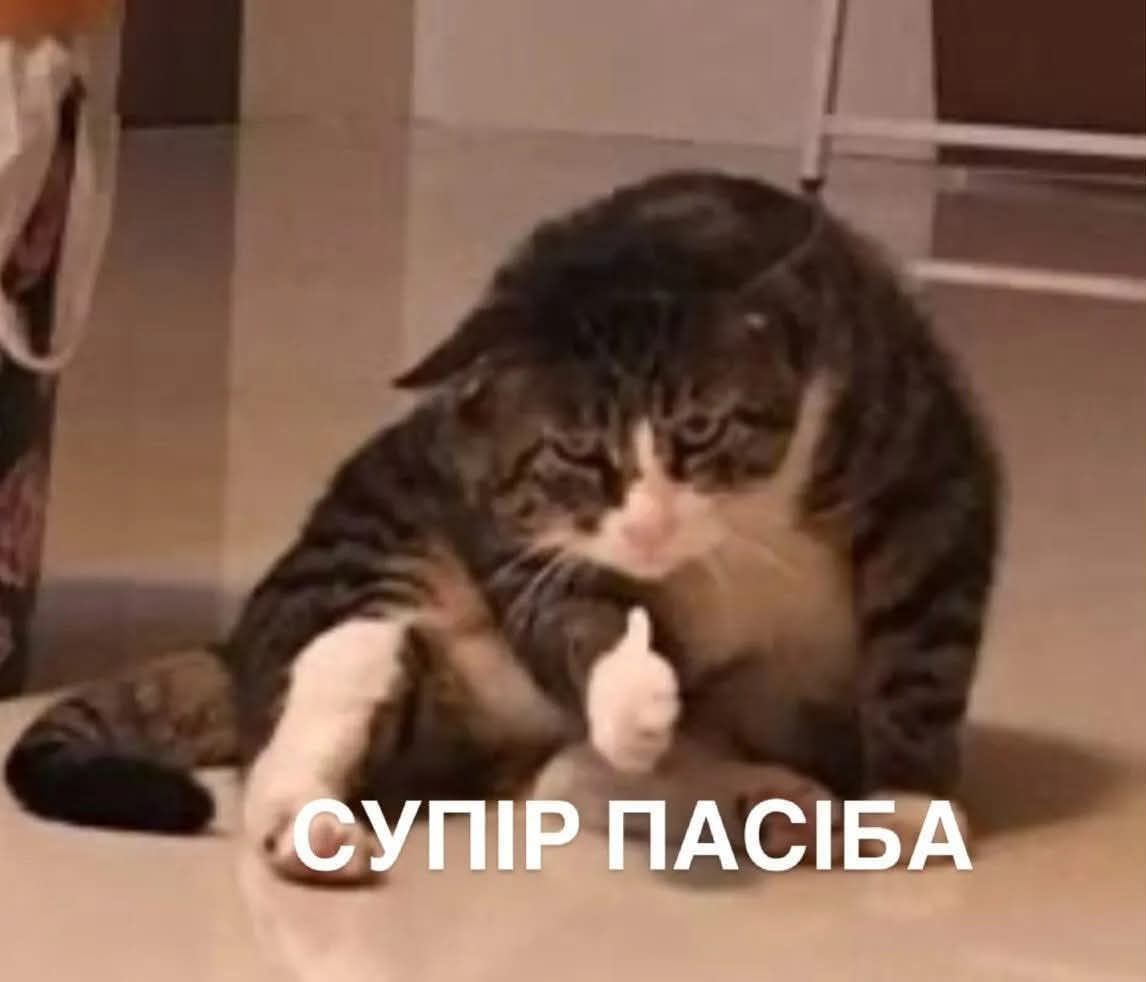 Мемы с котиками, которые смело можно использовать в качестве козырей и аргументов - 896573 Мемы с котиками, которые смело можно использовать в качестве козырей и аргументов - фото 896573