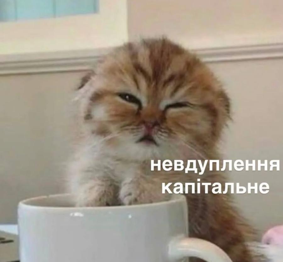 Мемы с котиками, которые смело можно использовать в качестве козырей и аргументов - 896576 Мемы с котиками, которые смело можно использовать в качестве козырей и аргументов - фото 896576