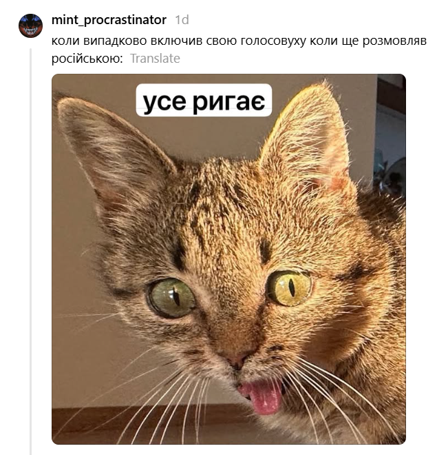 Кошка с высунутым язычком подарила украинцам новый повод для мемов - 896999 Кошка с высунутым язычком подарила украинцам новый повод для мемов - фото 896999