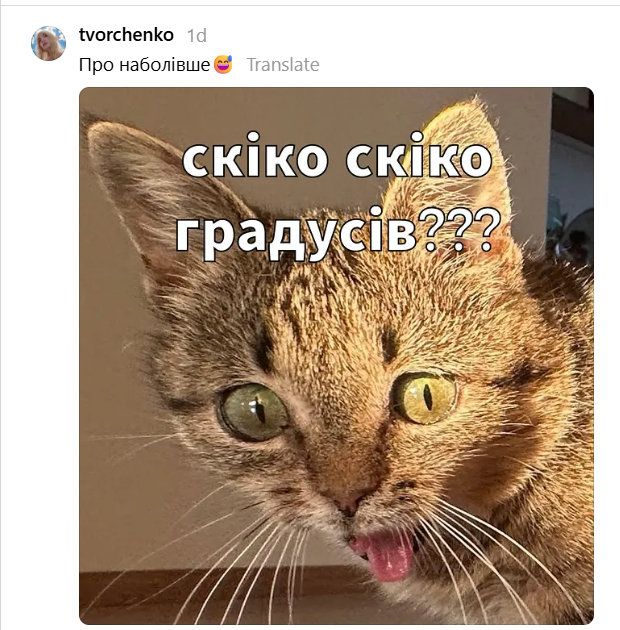 Кошка с высунутым язычком подарила украинцам новый повод для мемов - 897000 Кошка с высунутым язычком подарила украинцам новый повод для мемов - фото 897000