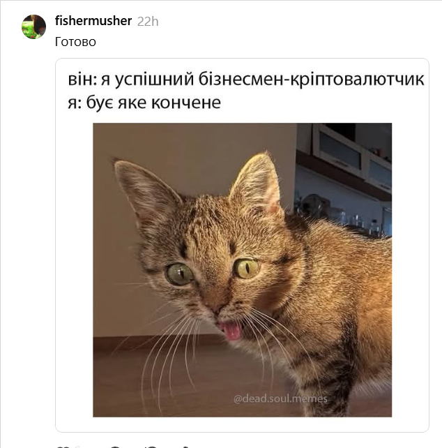 Кошка с высунутым язычком подарила украинцам новый повод для мемов - 897002 Кошка с высунутым язычком подарила украинцам новый повод для мемов - фото 897002