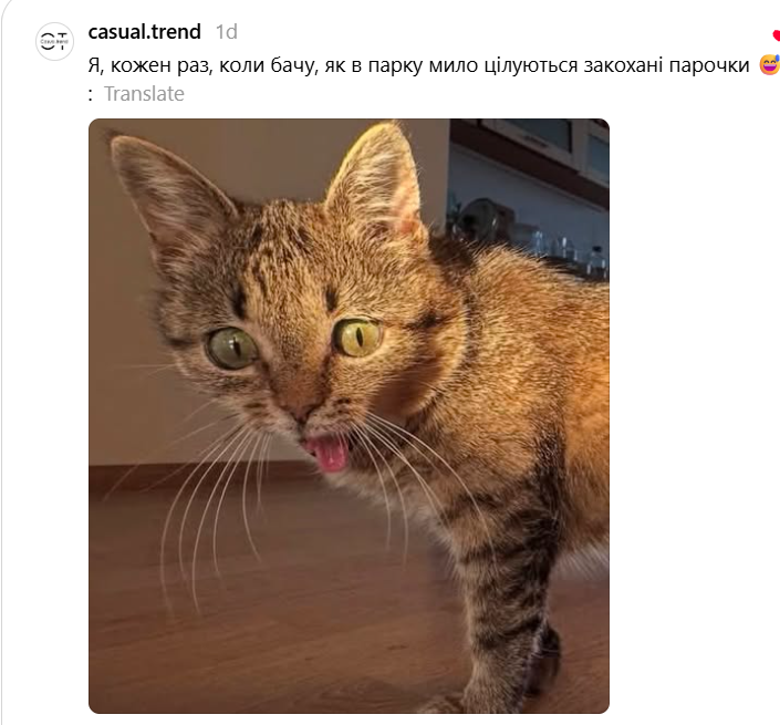 Кошка с высунутым язычком подарила украинцам новый повод для мемов - 897003 Кошка с высунутым язычком подарила украинцам новый повод для мемов - фото 897003
