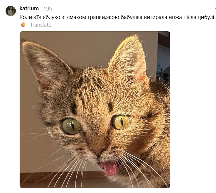 Кошка с высунутым язычком подарила украинцам новый повод для мемов - 897005 Кошка с высунутым язычком подарила украинцам новый повод для мемов - фото 897005