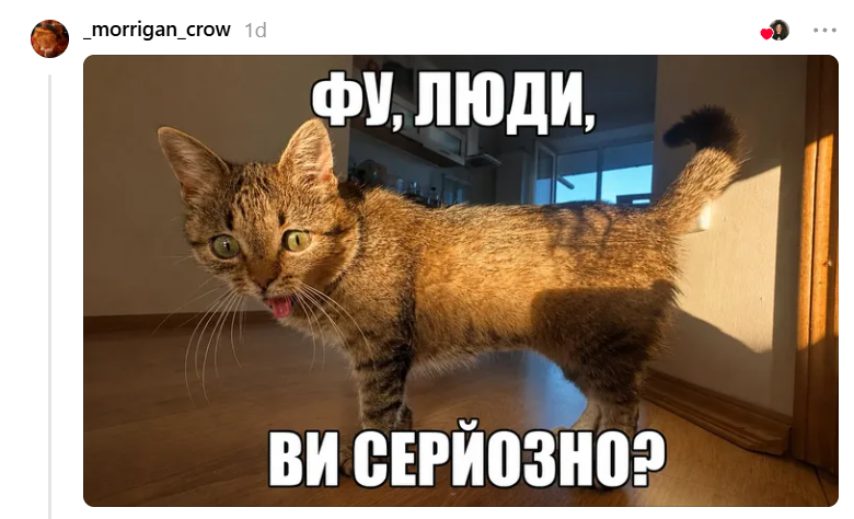 Кошка с высунутым язычком подарила украинцам новый повод для мемов - 897007 Кошка с высунутым язычком подарила украинцам новый повод для мемов - фото 897007