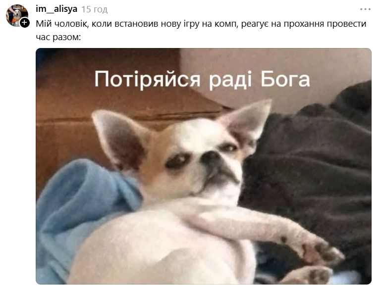 Чихуахуа зі зневажливим поглядом став зіркою мемів - фото 897181