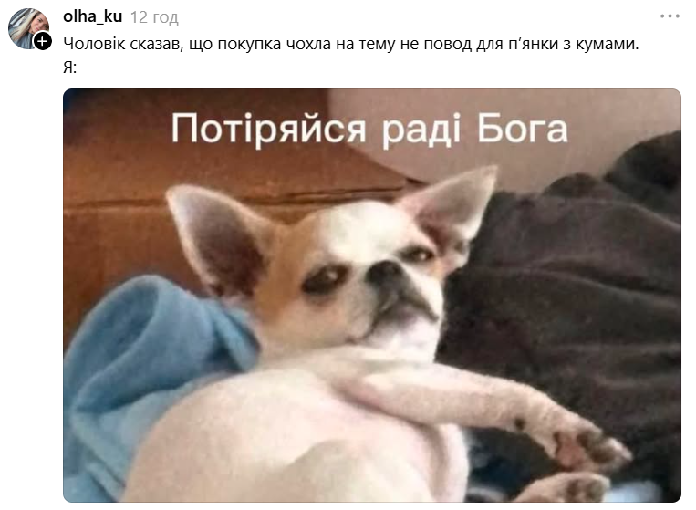 Чихуахуа зі зневажливим поглядом став зіркою мемів - фото 897183