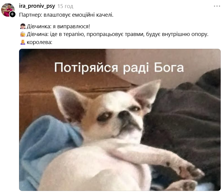Чихуахуа зі зневажливим поглядом став зіркою мемів - фото 897184