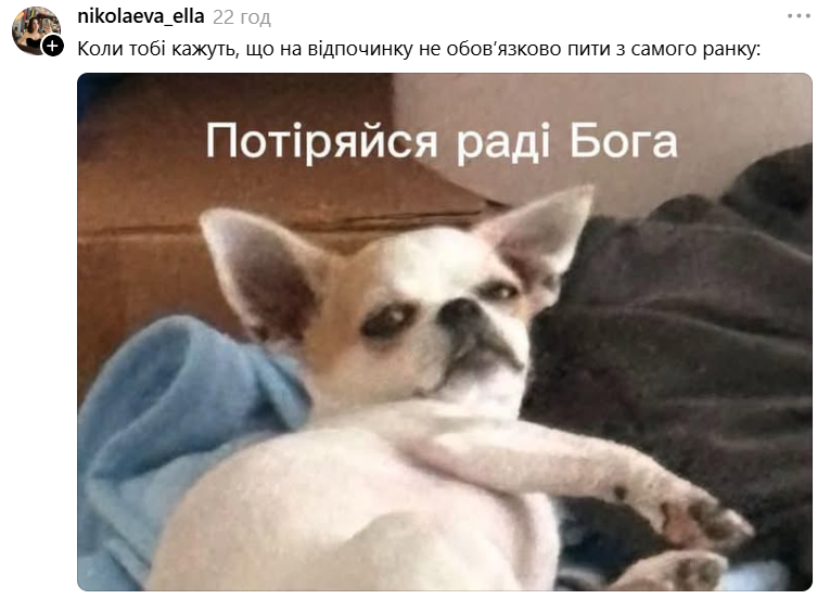 Чихуахуа зі зневажливим поглядом став зіркою мемів - фото 897186
