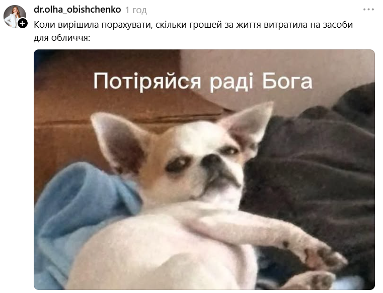 Чихуахуа зі зневажливим поглядом став зіркою мемів - фото 897187