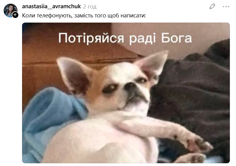 Чихуахуа зі зневажливим поглядом став зіркою мемів - фото 897191