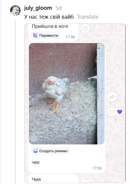 Швидкий дофамін: українці діляться перлами із сільських чатів та груп будинків - 898025 Швидкий дофамін: українці діляться перлами із сільських чатів та груп будинків - фото 898025