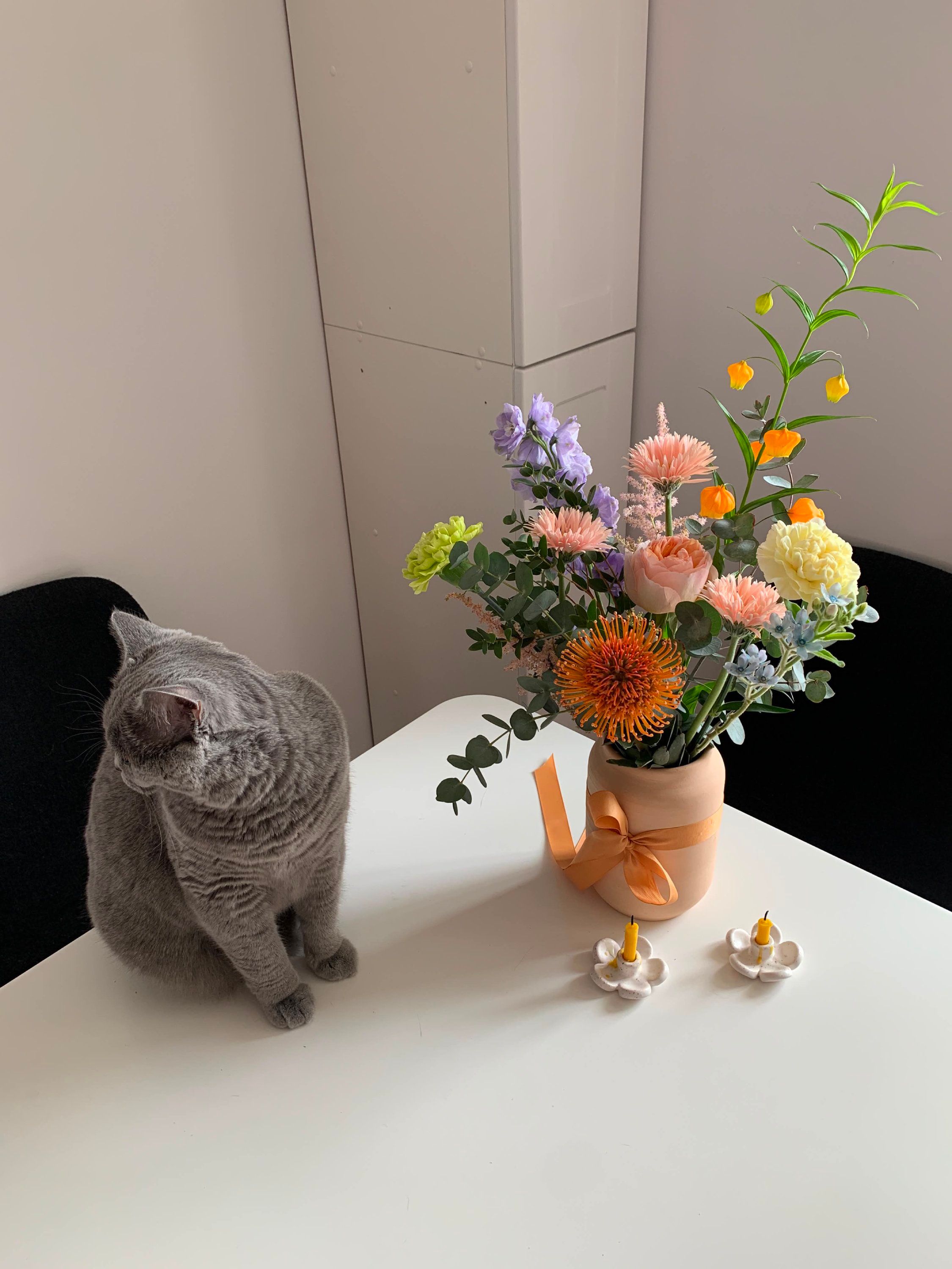 Котики и цветы: невероятно милые фото, которые дарят летнее настроение - 898240 Котики и цветы: невероятно милые фото, которые дарят летнее настроение - фото 898240