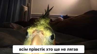 Меми про втому, від якої ми всі реально втомилися