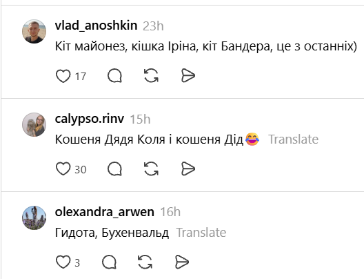 Чики и Пуки, Козявка, Шмонько: самые необычные прозвища, которыми украинцы называют своих питомцев - фото 898878