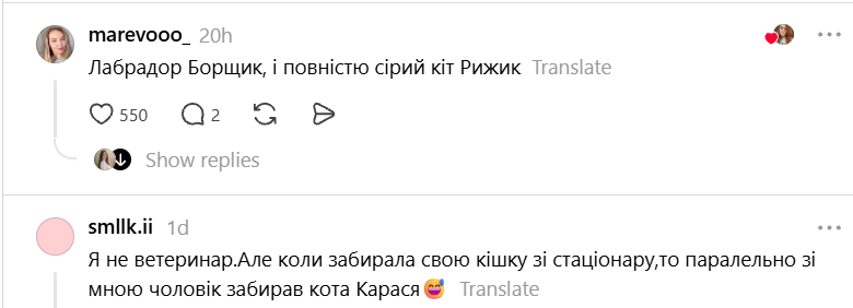 Чики и Пуки, Козявка, Шмонько: самые необычные прозвища, которыми украинцы называют своих питомцев - фото 898879
